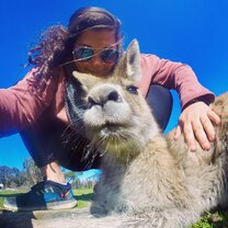 Day trip to Phillip Island to meet some kangaroos! 