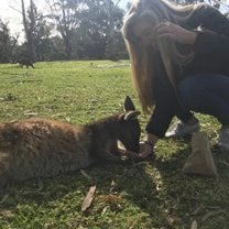 My first time meeting a kangaroo