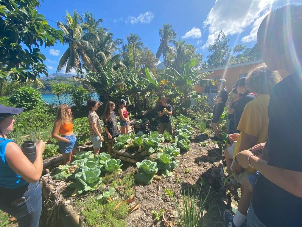 A volunteer group stands outside in a garden listening to a man talking.