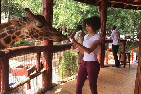 A woman reaches out to a giraffe that is sticking out its tongue.