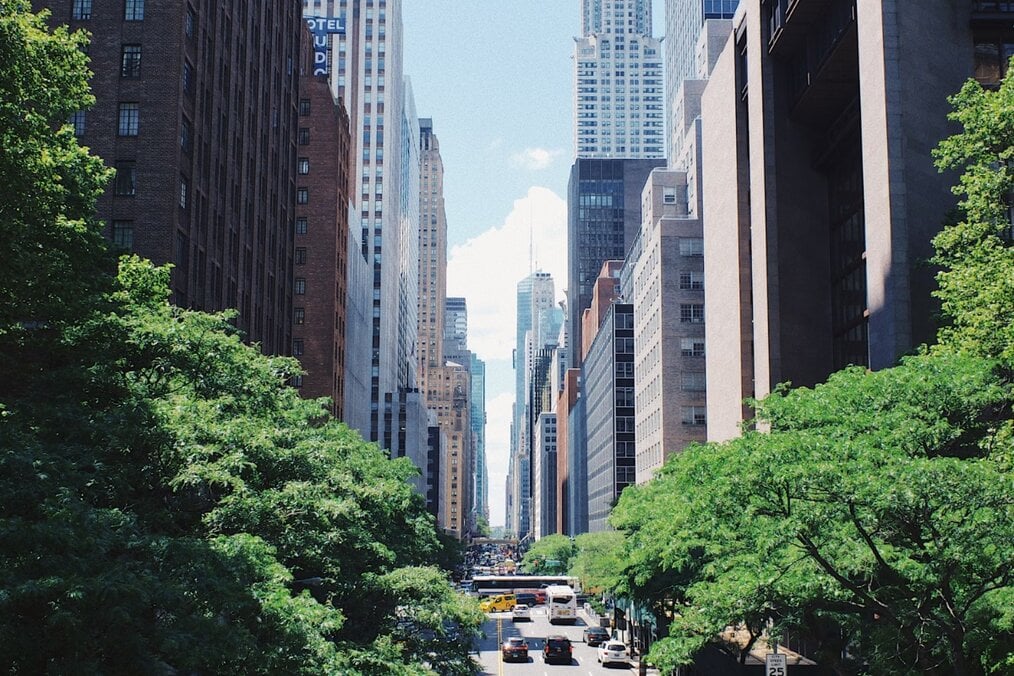 Study in New York New York cityscape