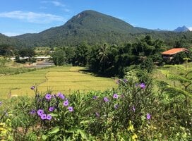 Muong Khong